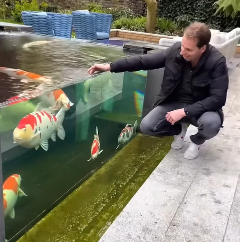 Referência visual de lago com painel transparente e carpas de grande porte