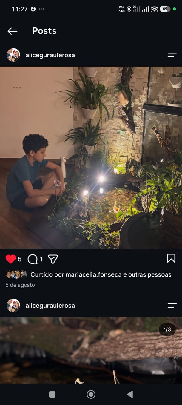 Registro de trabalho junto ao jardim iluminado