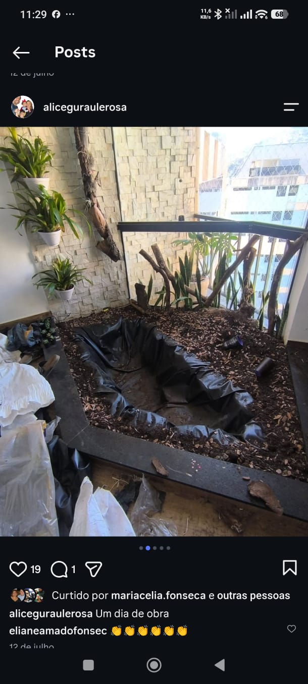 Estrutura do lago em construção junto à vegetação