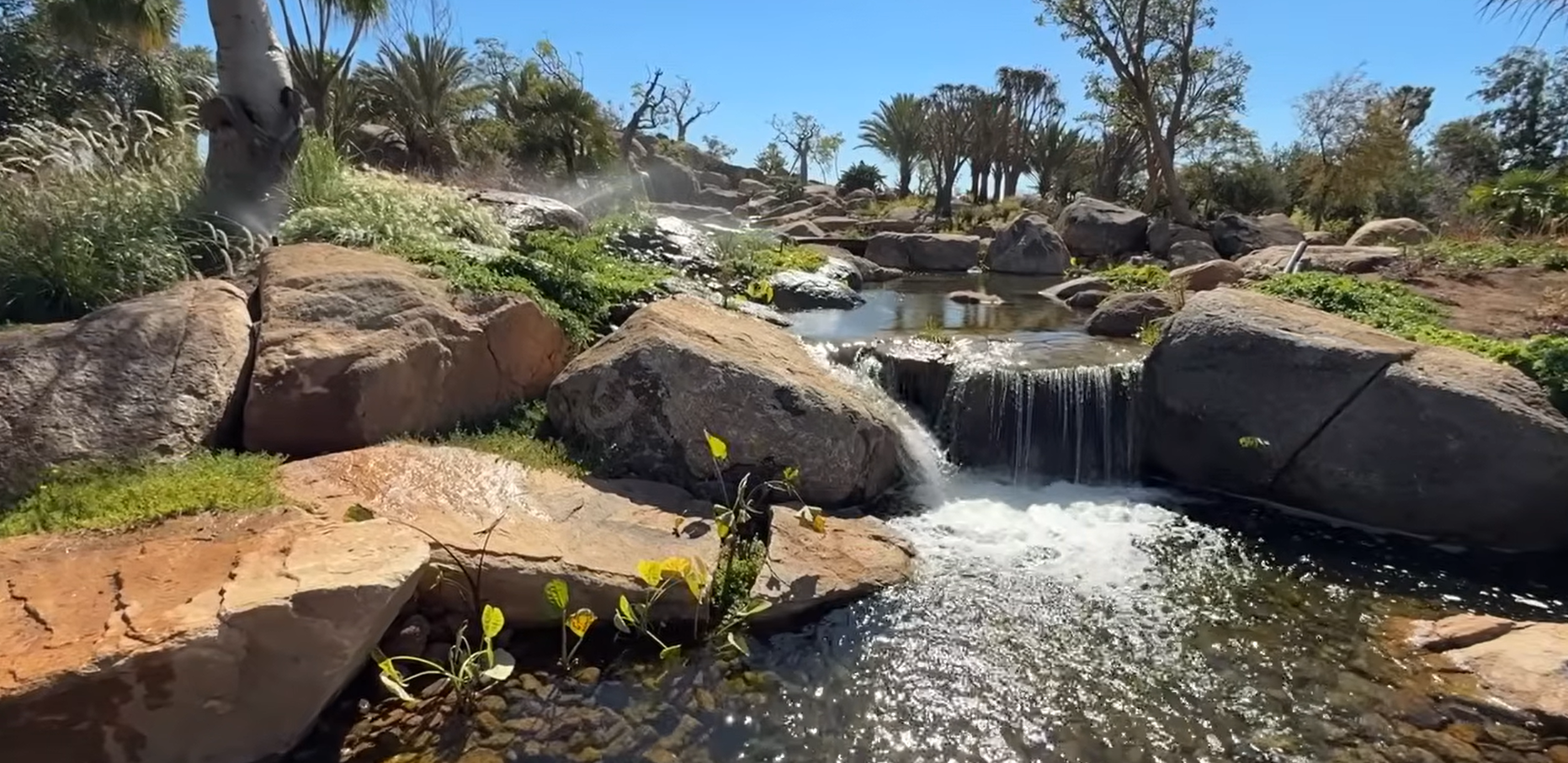 Cascata entre rochas e vegetação em jardim